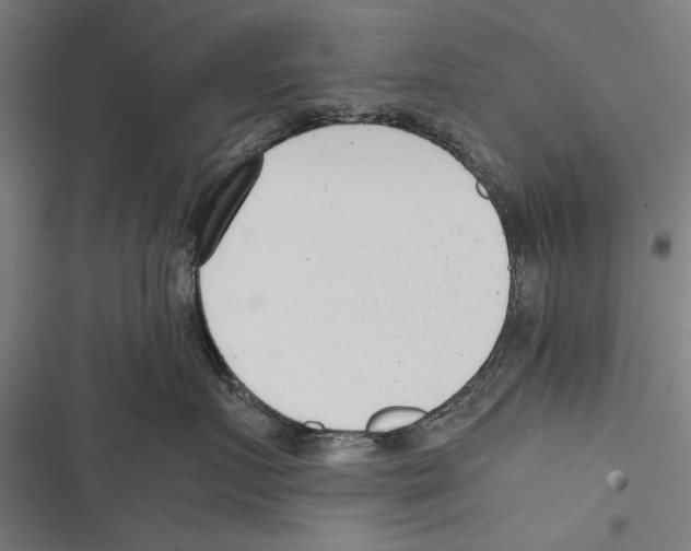 X0000116640719201001111208