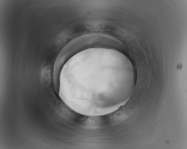 X0000116640720201001111208