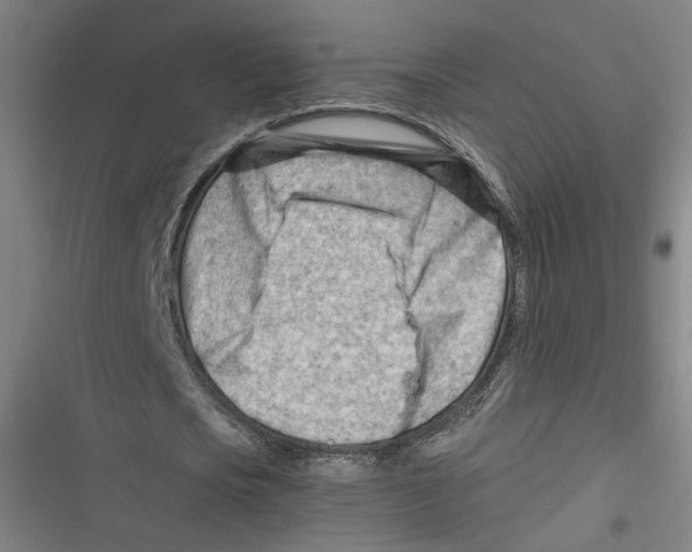 X0000116640721201001111207