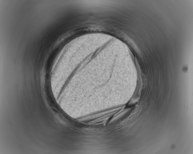 X0000116640722201001111207