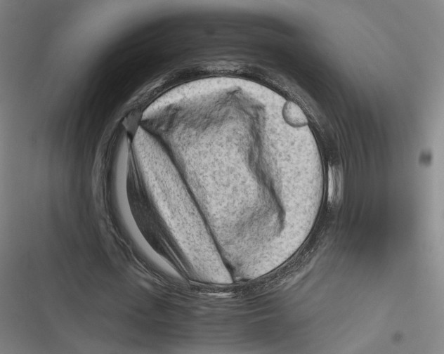 X0000116640723201001111207