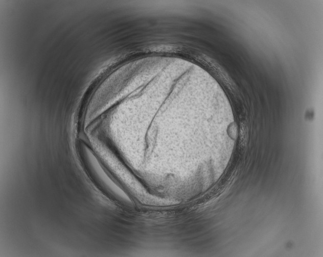 X0000116640725201001111207