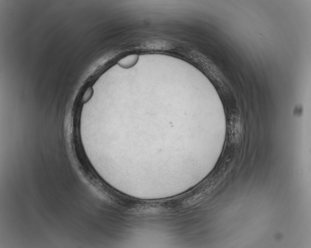 X0000116640726201001111207