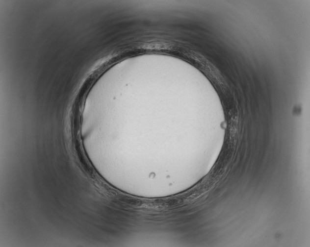 X0000116640727201001111207