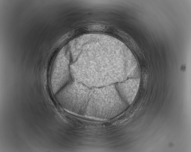 X0000116640729201001111207