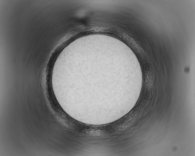 X0000116640730201001111207