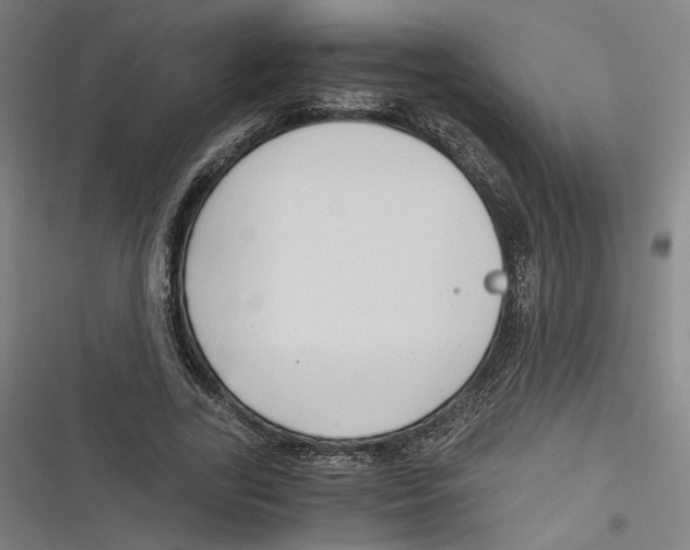 X0000116640731201001111207