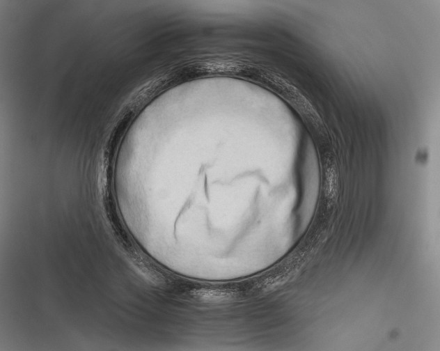 X0000116640733201001111207