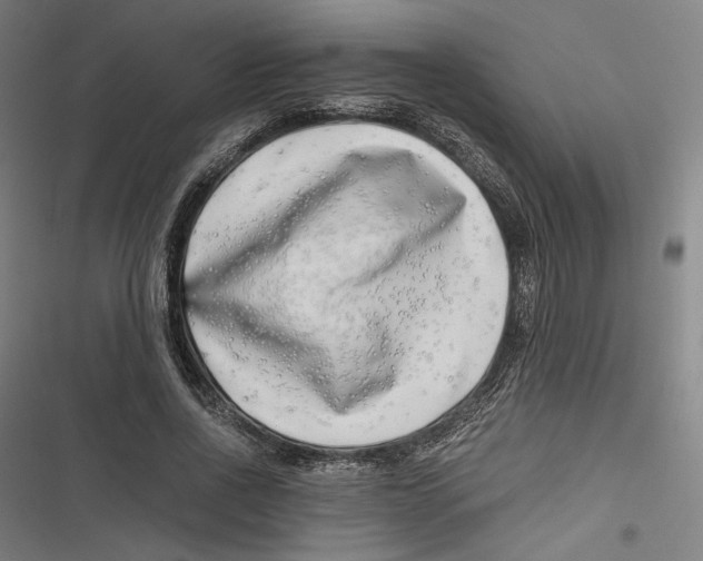 X0000116640734201001111207