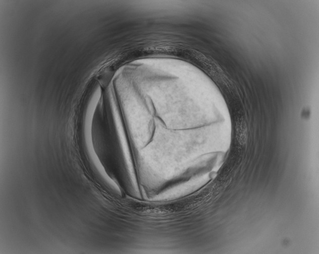 X0000116640735201001111207