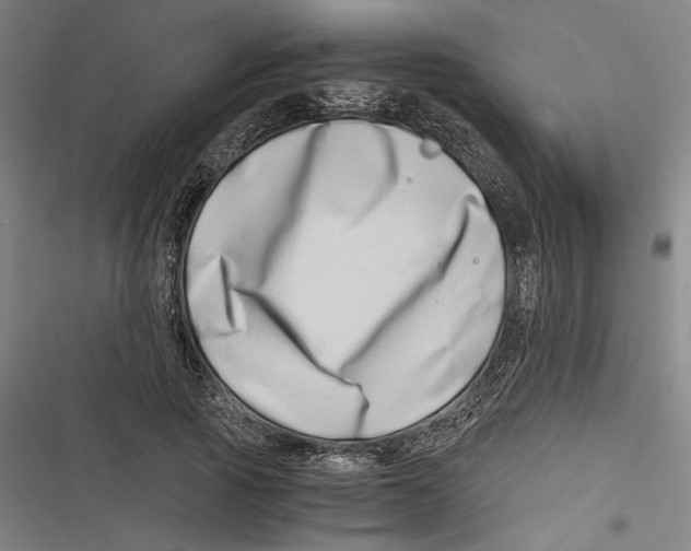 X0000116640737201001111207