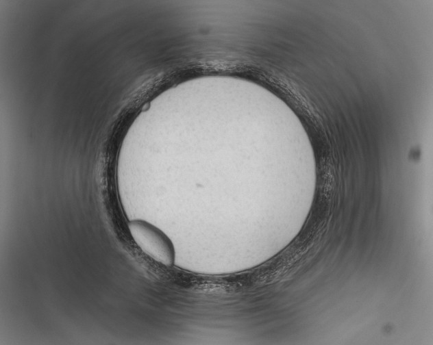 X0000116640738201001111207