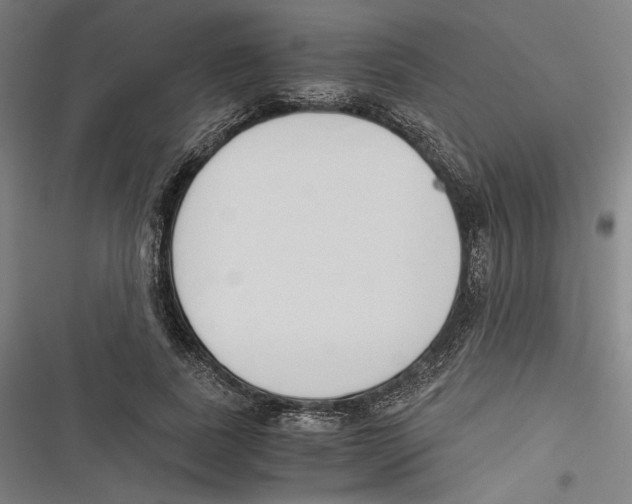 X0000116640739201001111207