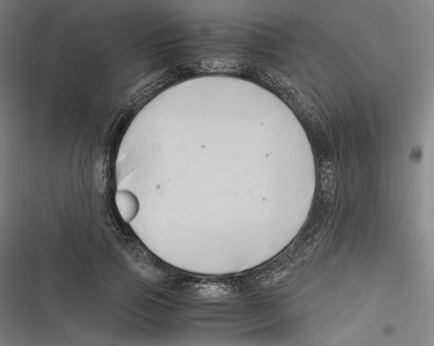 X0000116640741201001111208