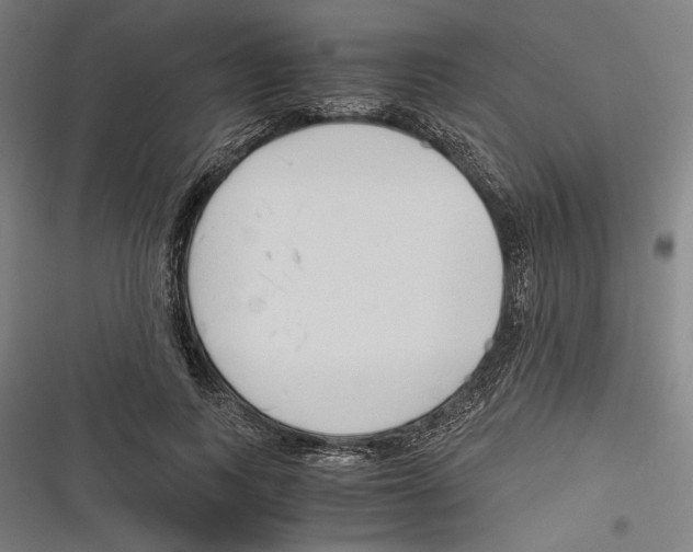 X0000116640743201001111208