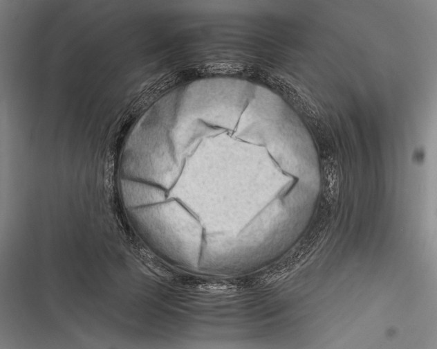 X0000116640745201001111208