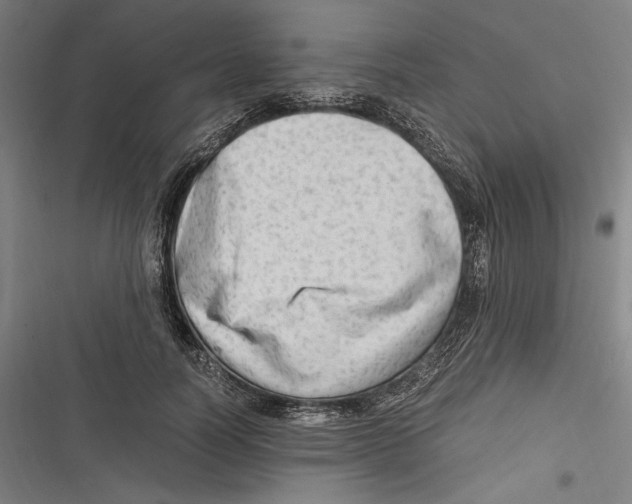 X0000116640746201001111208