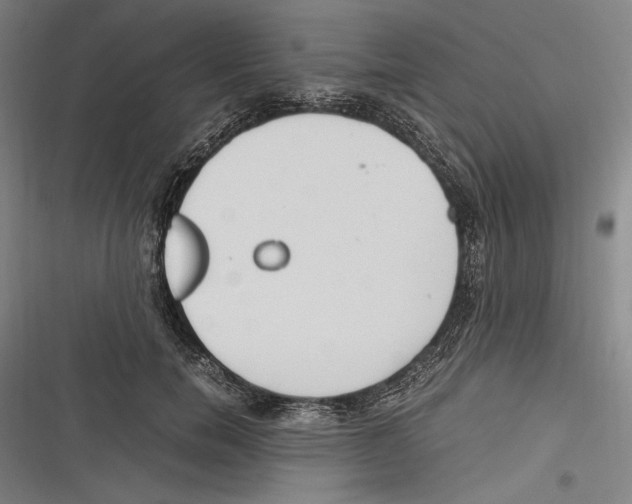 X0000116640750201001111208