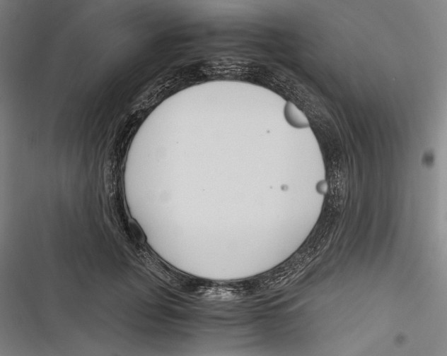 X0000116640751201001111208