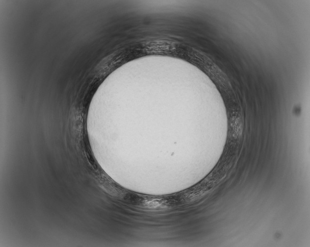 X0000116640753201001111208