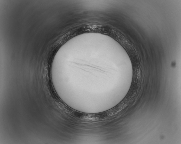 X0000116640754201001111208