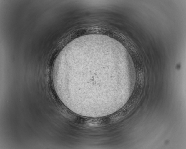 X0000116640757201001111208