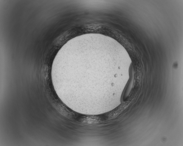 X0000116640758201001111208