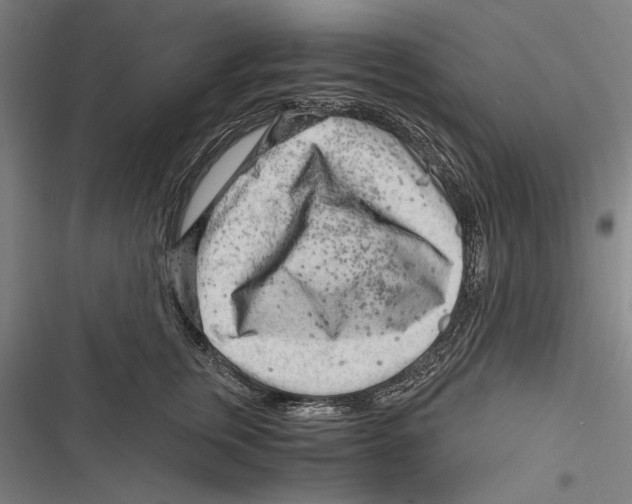 X0000116640759201001111208