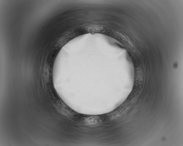 X0000116640761201001111208