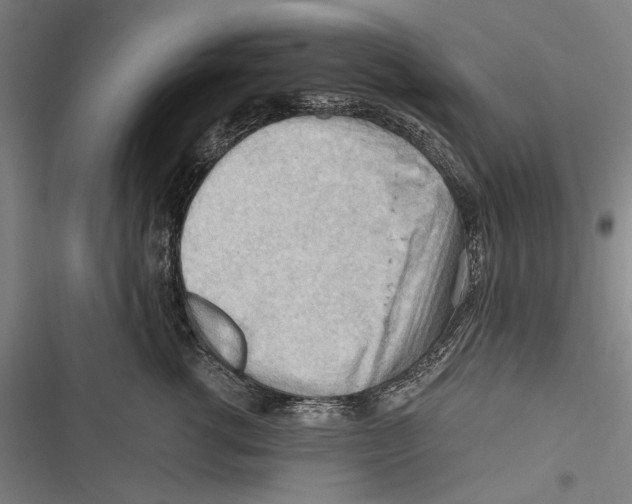 X0000116640762201001111208