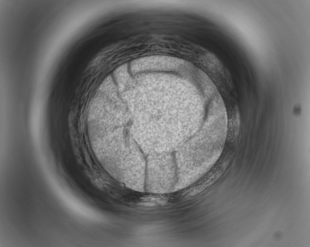 X0000116640765201001111208