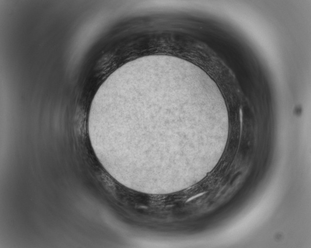 X0000116640766201001111208