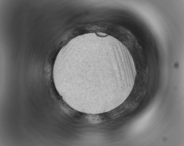 X0000116640767201001111208