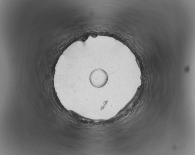 X0000116640769201001111207