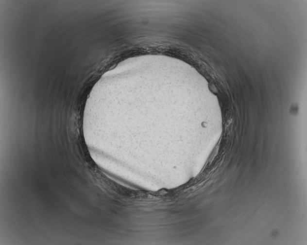 X0000116640772201001111207