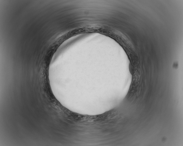 X0000116640773201001111207