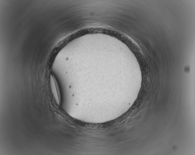 X0000116640775201001111207