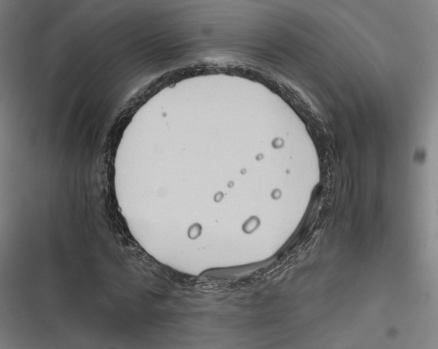 X0000116640776201001111207