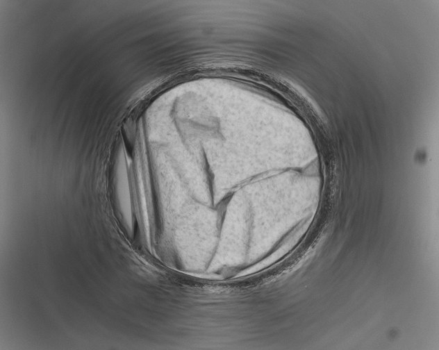 X0000116640777201001111207