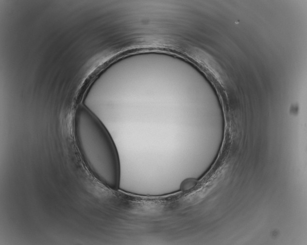 X0000116640781201001111207