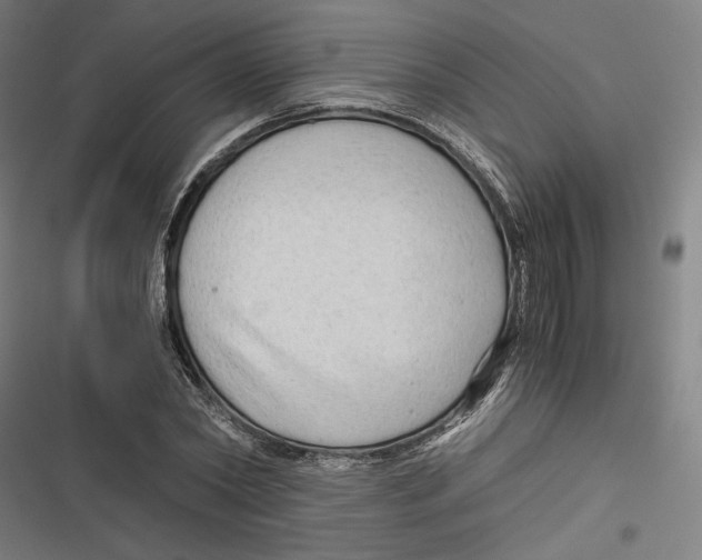 X0000116640782201001111207