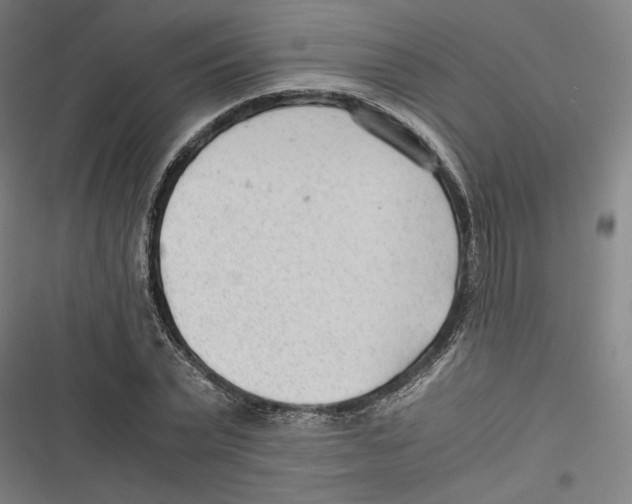 X0000116640783201001111207