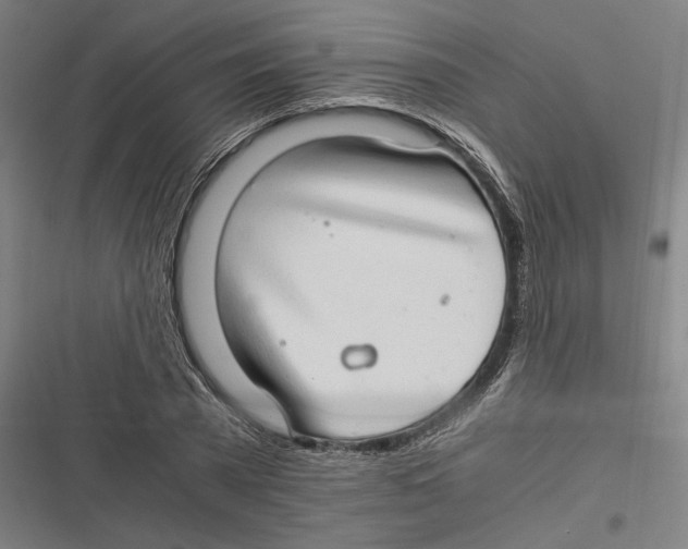 X0000116640785201001111207