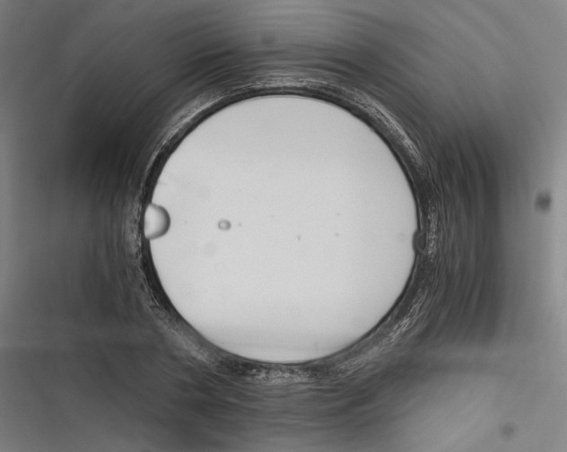 X0000116640786201001111207