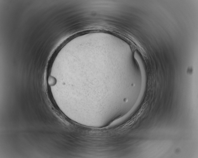 X0000116640788201001111207