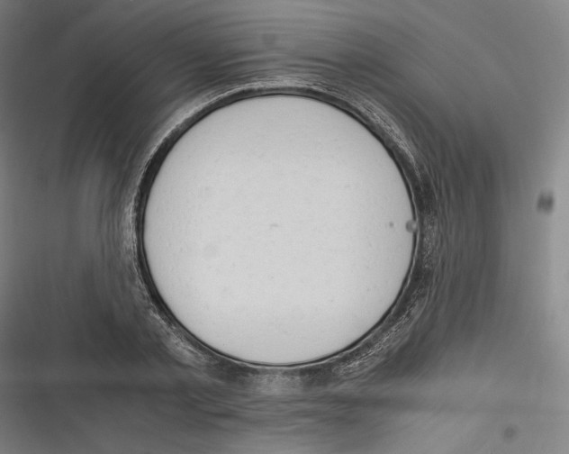 X0000116640789201001111207