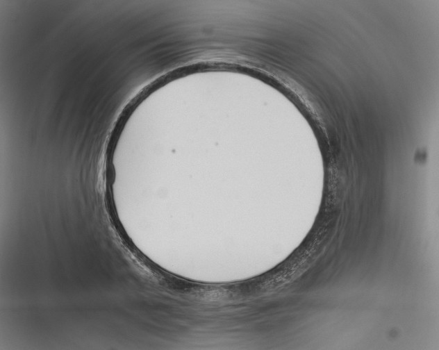 X0000116640791201001111207