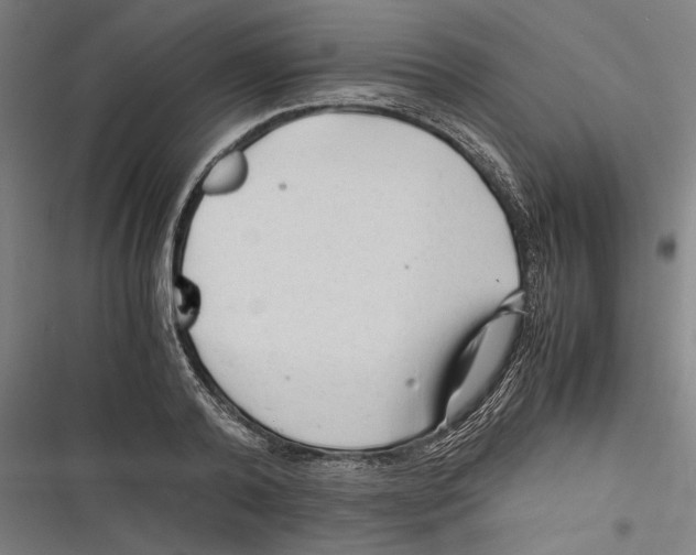 X0000116640792201001111207