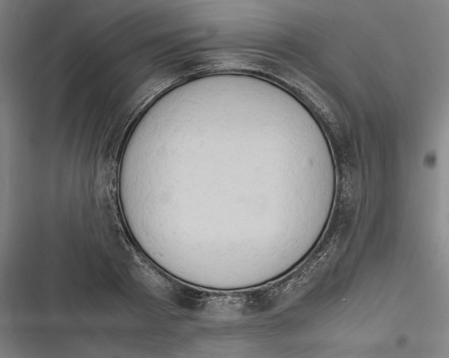 X0000116640793201001111207