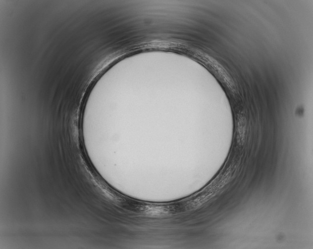 X0000116640794201001111207